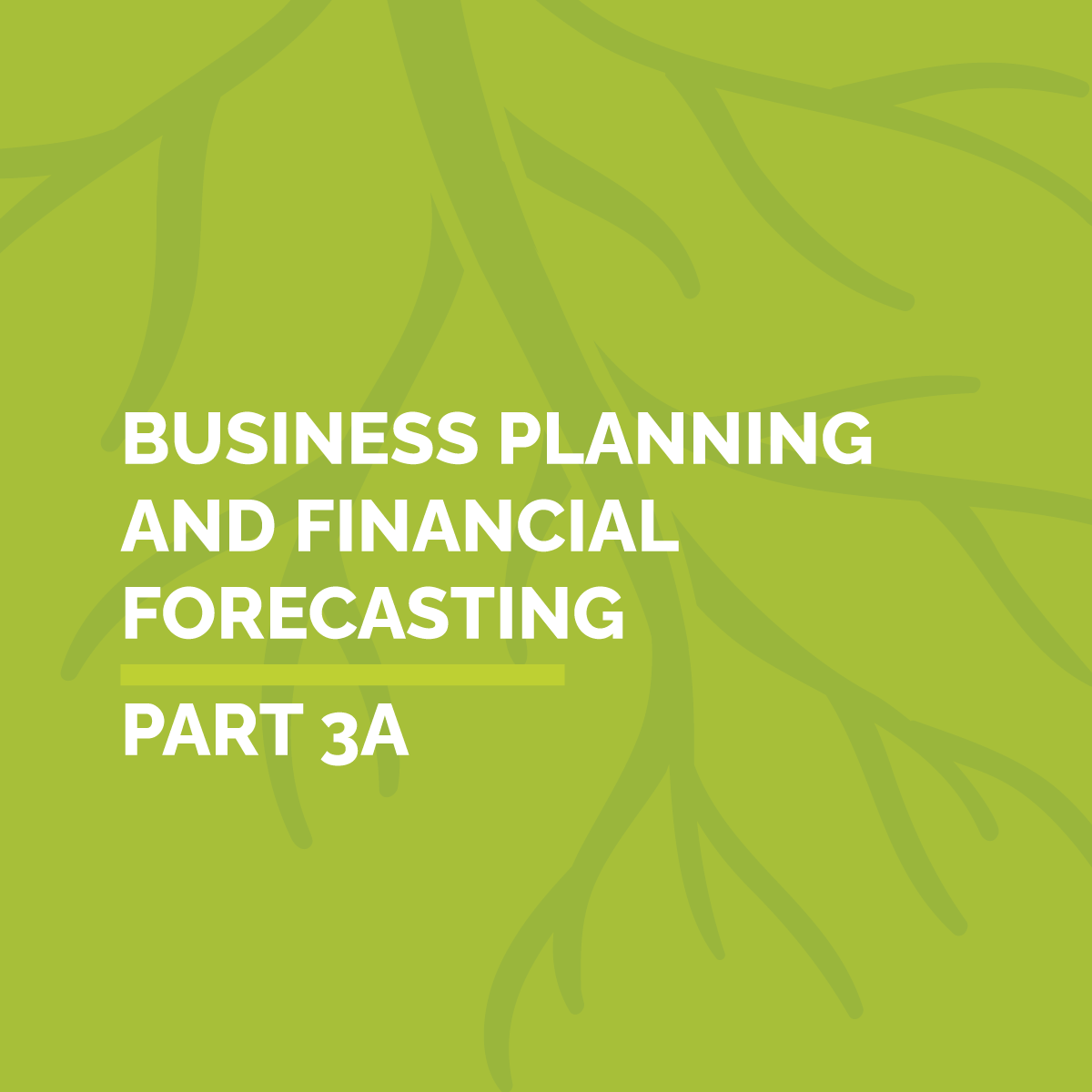 Part 3A: Business Planning and Financial Forecast