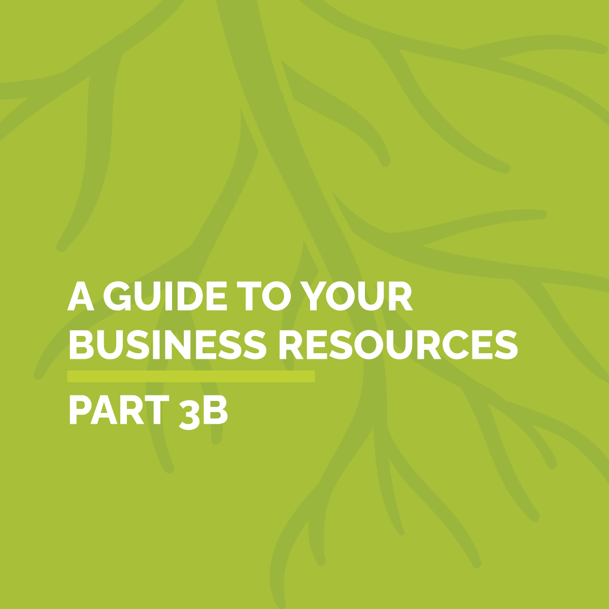 PART 3B: A Guide To Your Business Resources
