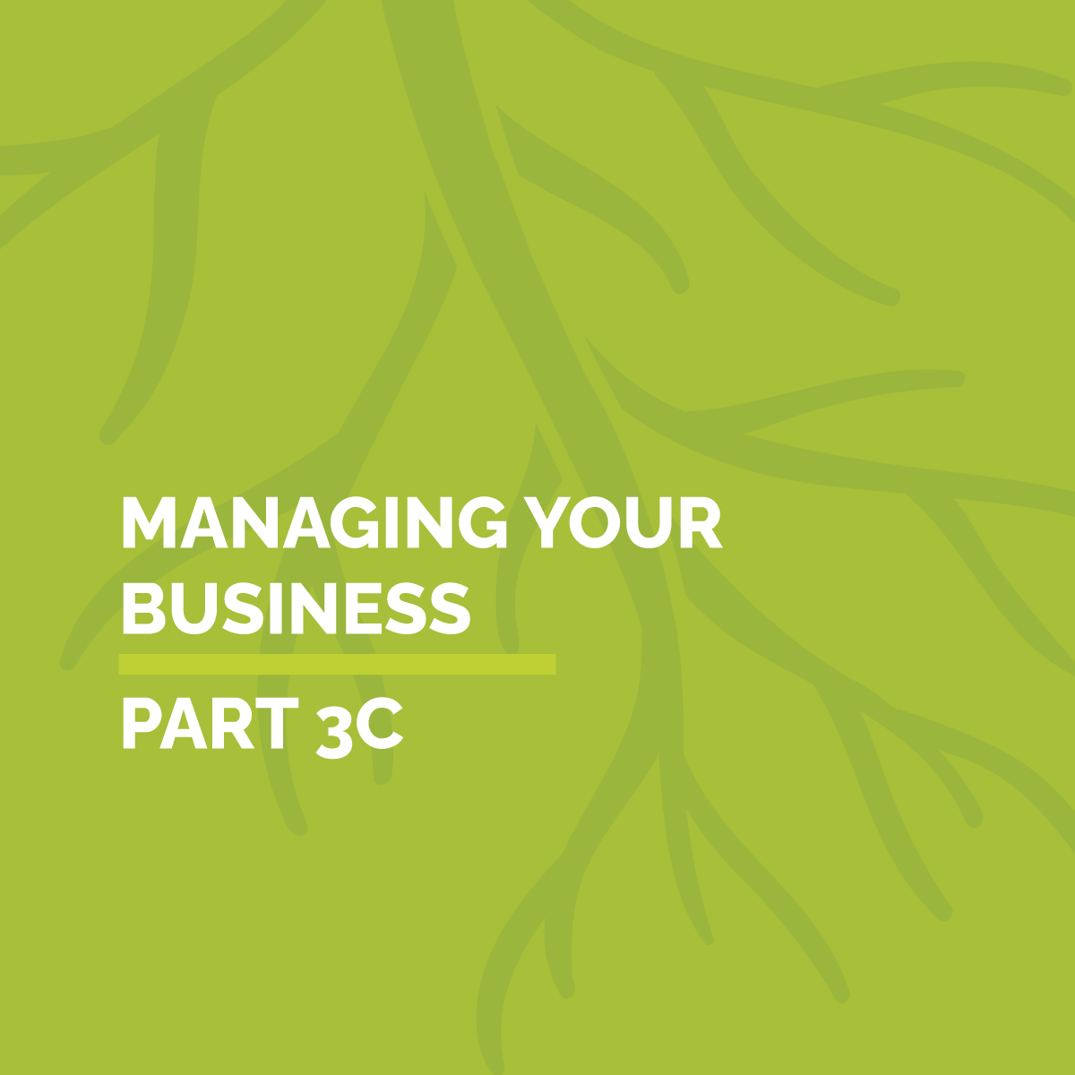 PART 3C: Managing Your Business