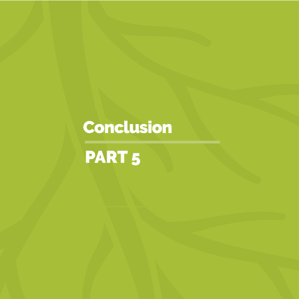 Part 5: Conclusion